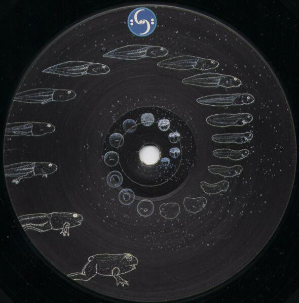 X-Dream : The Frog (12")