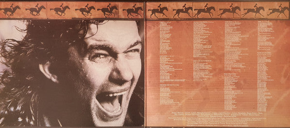 Jimmy Barnes : Bodyswerve (LP, Album)