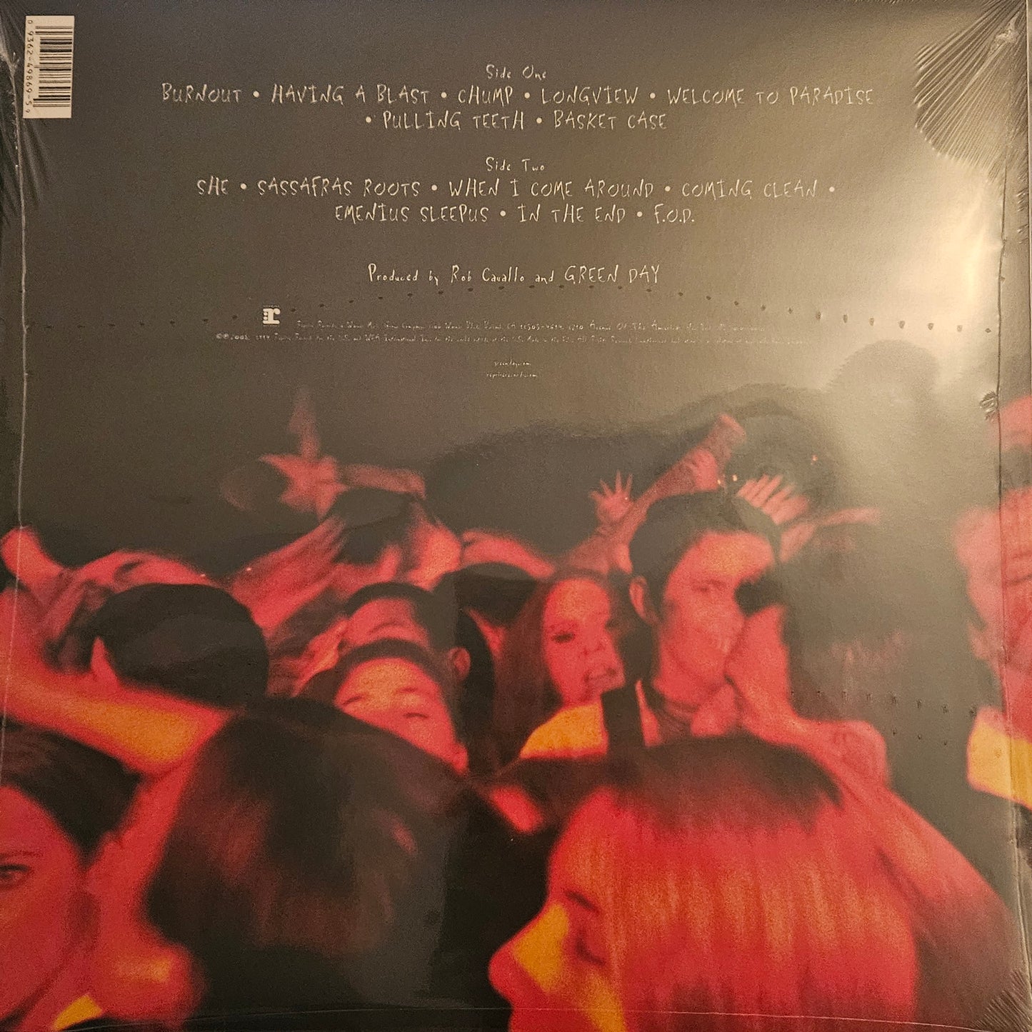 Green Day Dookie Vinyl Greenday