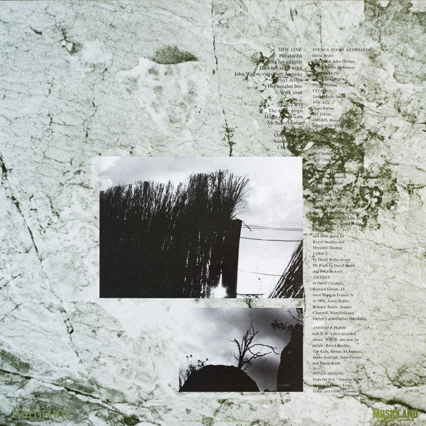 Not Drowning, Waving : Another Pond (LP, Album, RE)