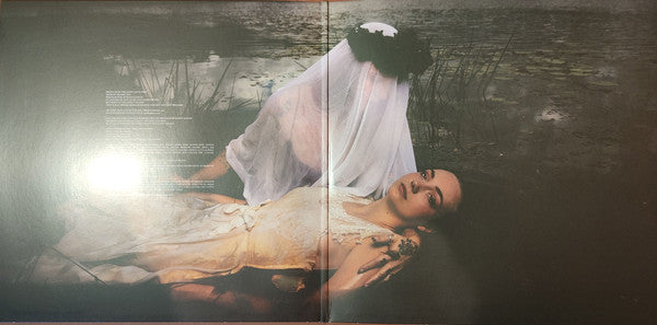 The Amity Affliction : Not Without My Ghosts (LP, Album, Ltd, Blu)