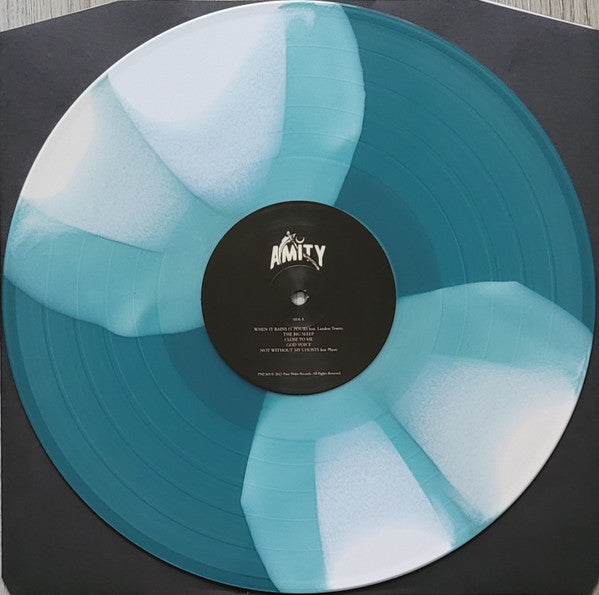 The Amity Affliction : Not Without My Ghosts (LP, Album, Ltd, Tur)