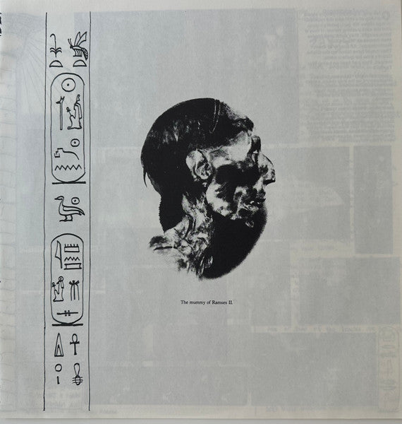 Wet Taxis : From The Archives (LP, Album)