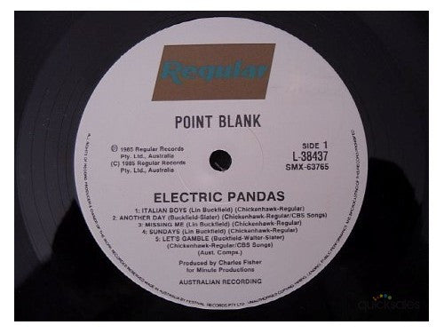Electric Pandas : Point Blank (LP, Album)