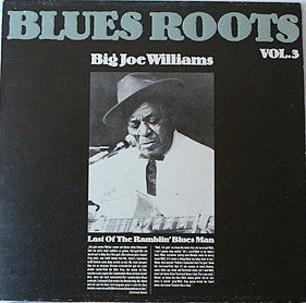 Big Joe Williams : Last Of The Ramblin Blues Man (LP, Comp)