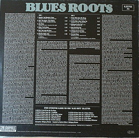 Big Joe Williams : Last Of The Ramblin Blues Man (LP, Comp)