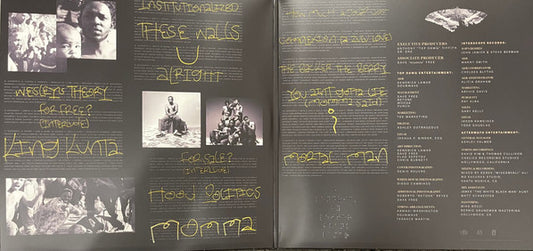 Kendrick Lamar : To Pimp A Butterfly (2xLP, Ltd, Met)