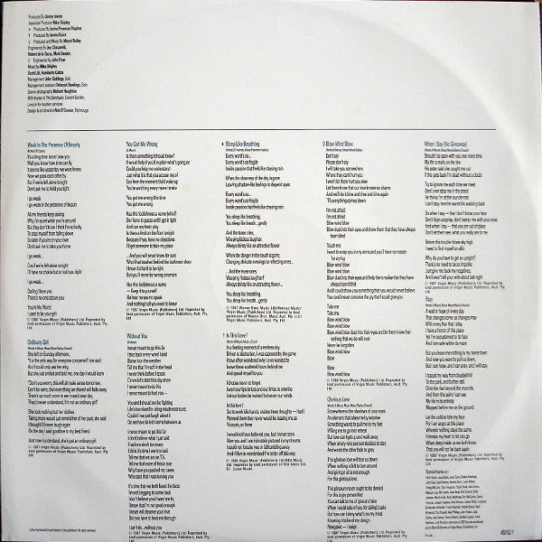 Alison Moyet : Raindancing (LP, Album)