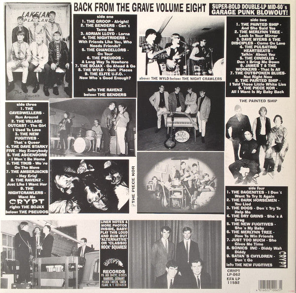 Various : Back From The Grave Volume Eight (2xLP, Comp)