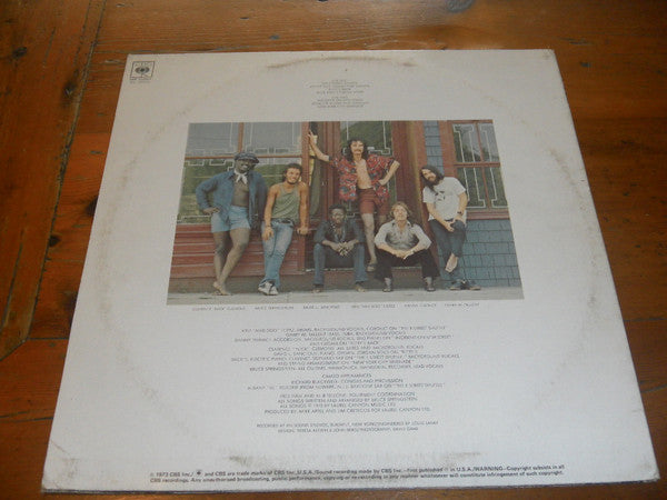 Bruce Springsteen : The Wild, The Innocent & The E Street Shuffle (LP, Album)