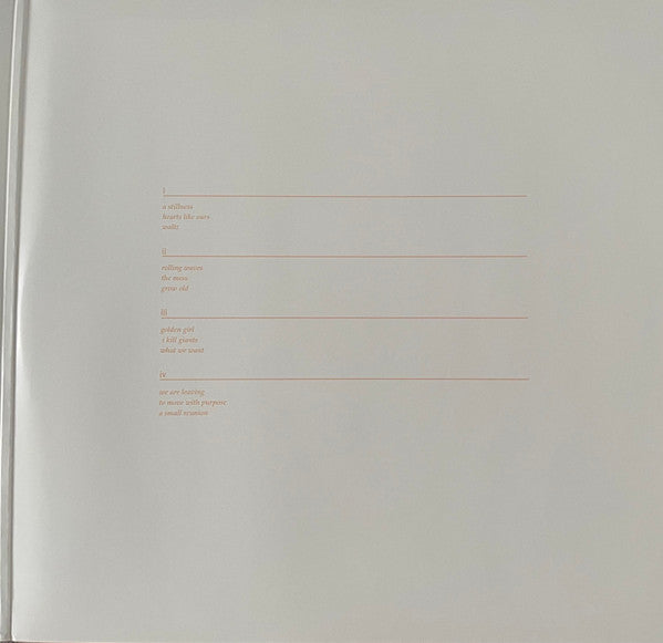 The Naked And Famous : In Rolling Waves (2xLP, Album, 180)