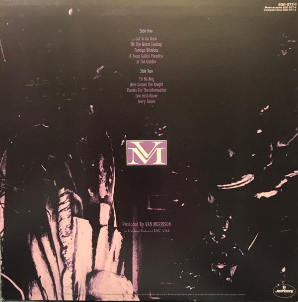 Van Morrison : No Guru, No Method, No Teacher (LP, Album)