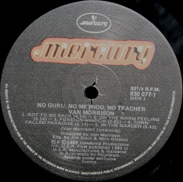 Van Morrison : No Guru, No Method, No Teacher (LP, Album)