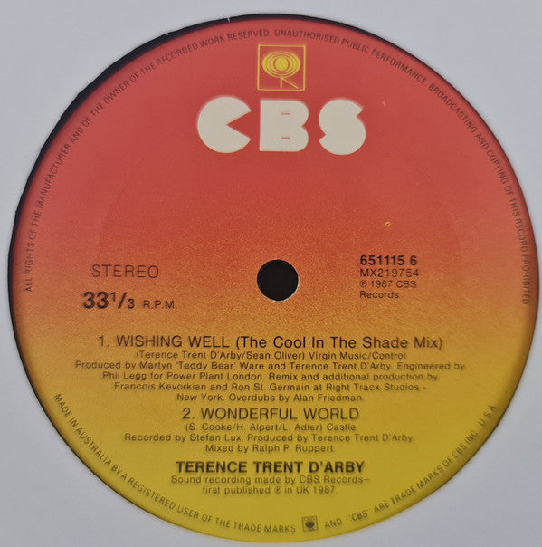 Terence Trent D'Arby : Wishing Well (The Darbinian Mix) (12")