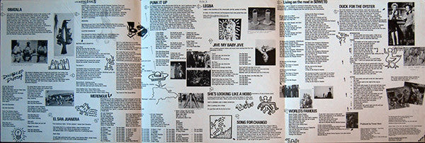 Malcolm McLaren : Duck Rock (LP, Album)