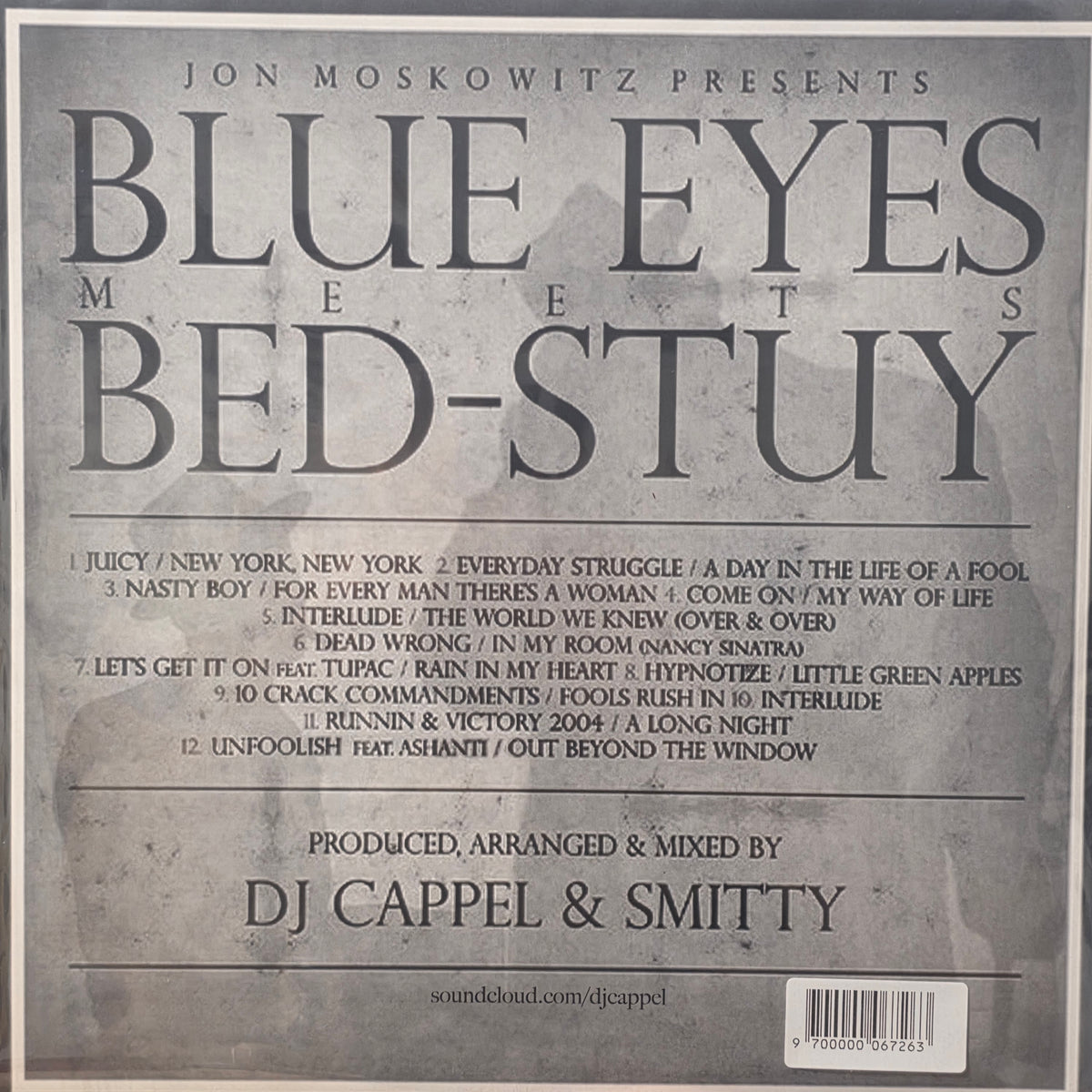 Sinatra VS Biggie - Blue Eyes Meets Bed-Stuy Frand Sinatra / Notorious BIG Vinyl Record Mixtape Mashup