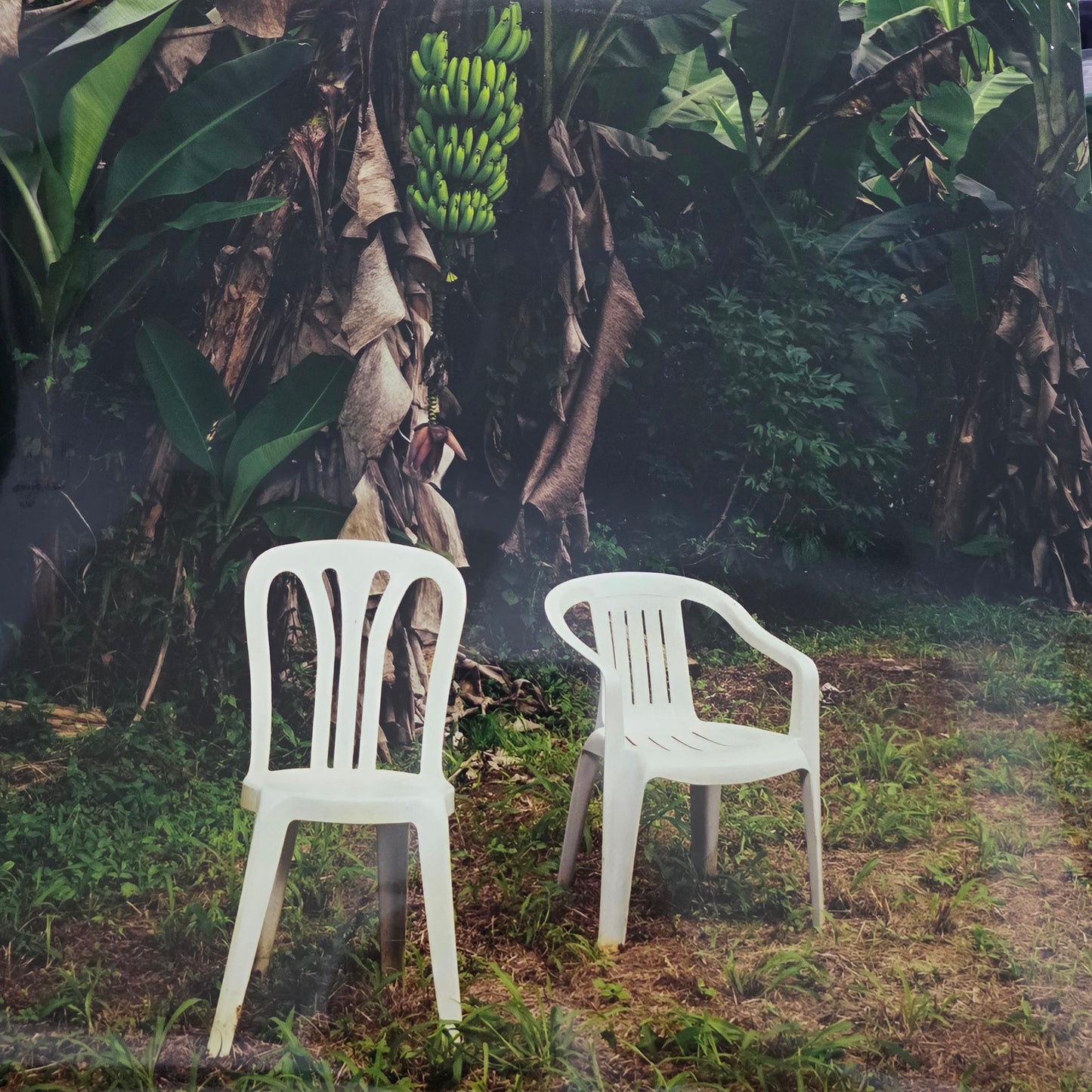 Bad Bunny - DeBÍ TiRAR MáS FOToS Double Vinyl Record 2LP Coloured Debi Tirar Mas Fotos