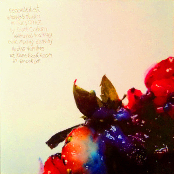 Animal Collective : Strawberry Jam (2xLP, Album, Ltd)
