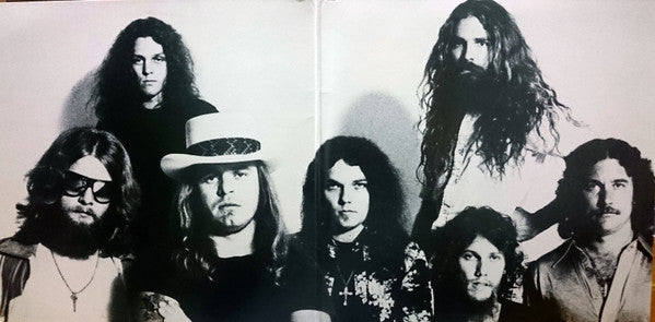 Lynyrd Skynyrd : Street Survivors (LP, Album)
