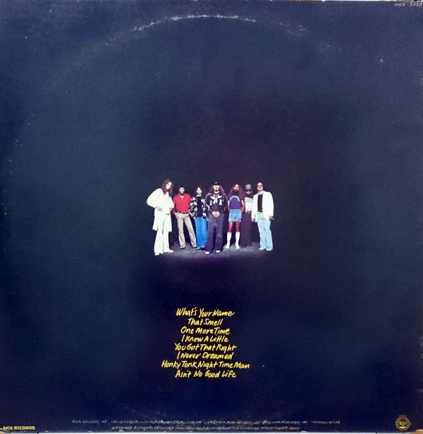 Lynyrd Skynyrd : Street Survivors (LP, Album)