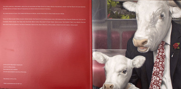 Moby : Everything Was Beautiful, And Nothing Hurt (2xLP, Album)
