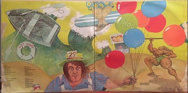 The Beach Boys : Endless Summer (2xLP, Comp)