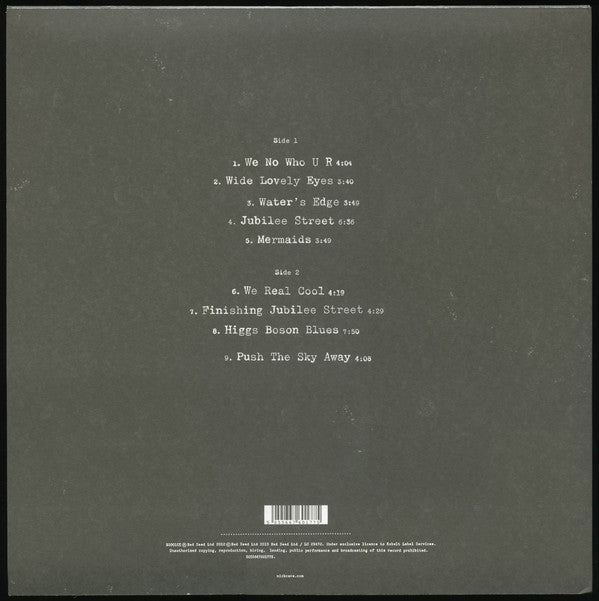 Nick Cave & The Bad Seeds : Push The Sky Away (LP, Album)