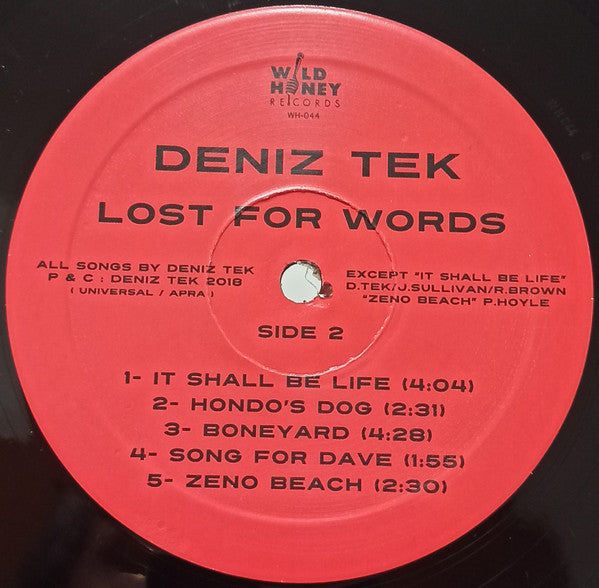 Deniz Tek : Lost For Words (LP, Album)