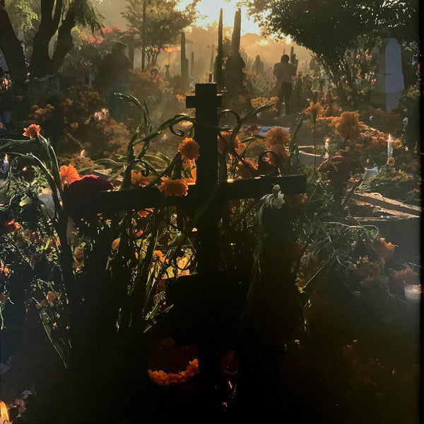 Foals : Everything Not Saved Will Be Lost (LP, Album, Num, Vio + 7", S/Sided, Single, Etch)