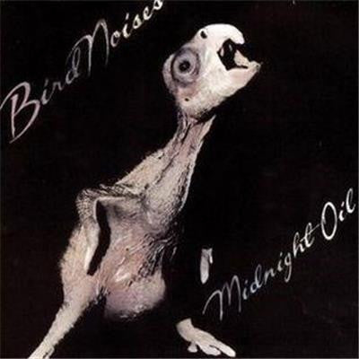 Midnight Oil : Bird Noises (12", EP, RE, RM)
