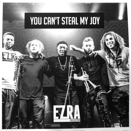 Ezra Collective : You Can't Steal My Joy (2xLP, Album)