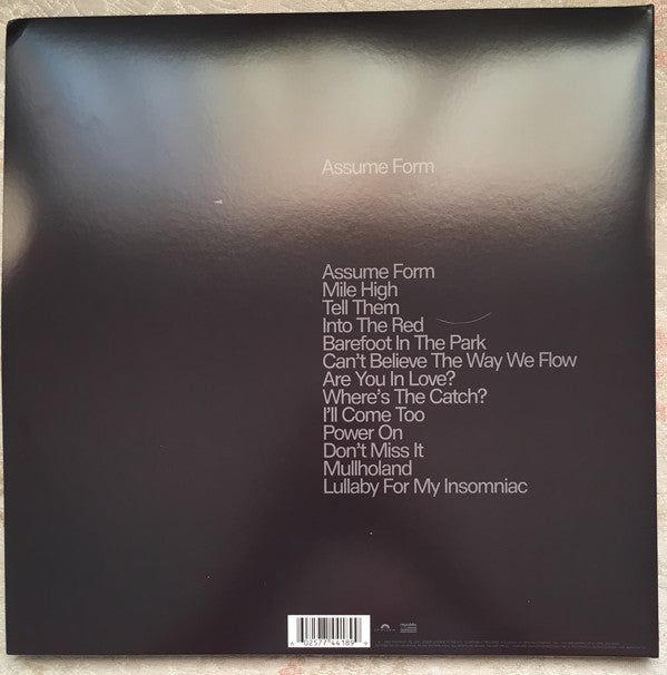 James Blake : Assume Form (2xLP, Album, 180)