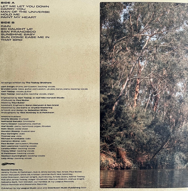 The Teskey Brothers : Run Home Slow (LP, Album)