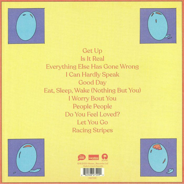 Bombay Bicycle Club : Everything Else Has Gone Wrong (LP, Album)