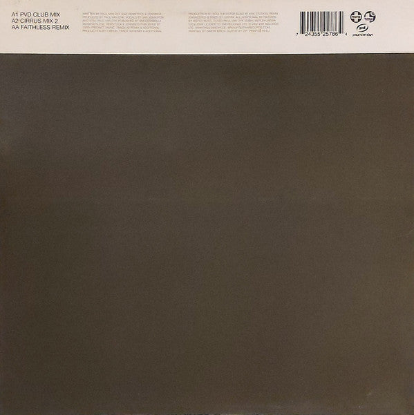Paul van Dyk Featuring Hemstock & Jennings : Nothing But You (12")