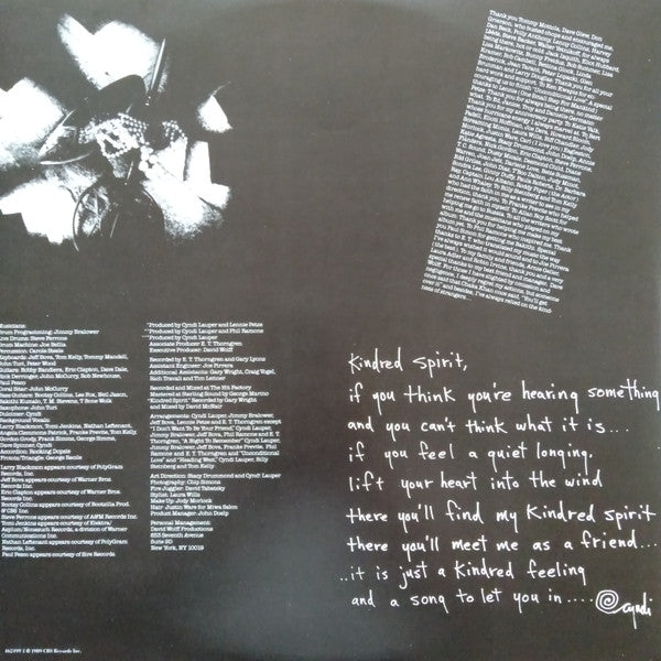 Cyndi Lauper : A Night To Remember (LP, Album)