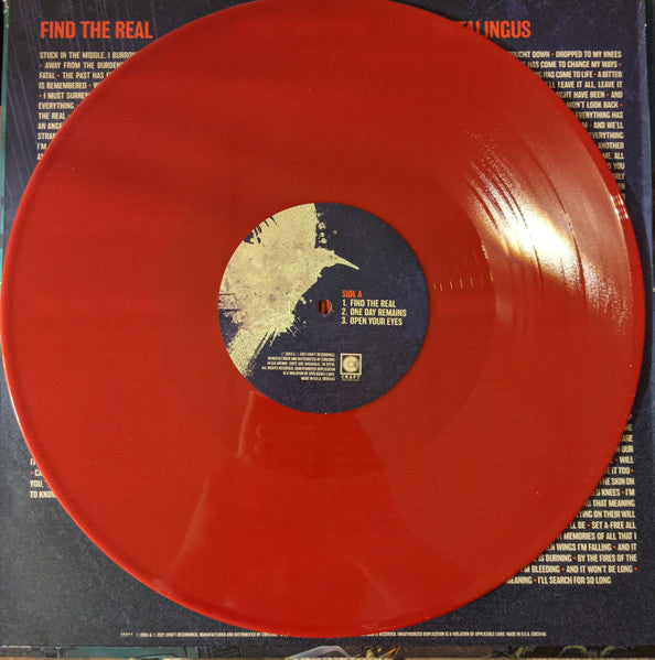 Alter Bridge : One Day Remains (2xLP, Album, Ltd, RE, Red)