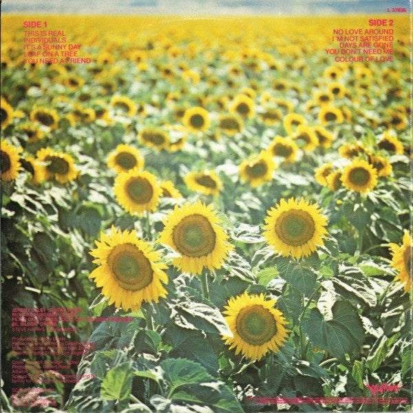 Sunnyboys : Individuals (LP, Album, Gat)
