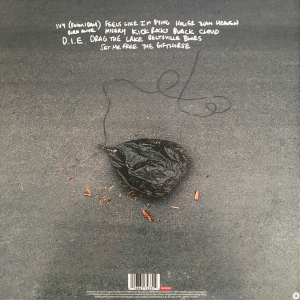 The Amity Affliction : Misery (LP, Album, Gat)