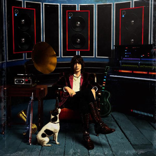 Julian Casablancas : Phrazes For The Young (LP, Album)