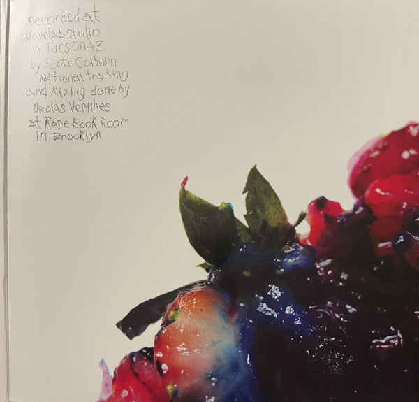 Animal Collective : Strawberry Jam (2xLP, Album)