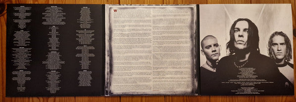 Seether : *Disclaimer (3xLP, Album, Dlx, Ltd, RE, Tri)