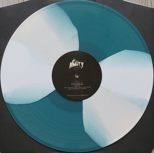 The Amity Affliction : Not Without My Ghosts (LP, Album, Ltd, Tur)