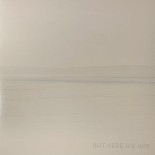 Foo Fighters : But Here We Are (LP, Album)