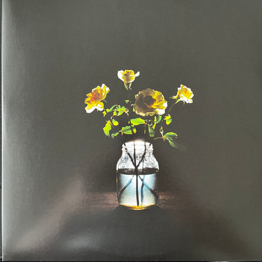 Billy Strings : Renewal (2xLP, Album)