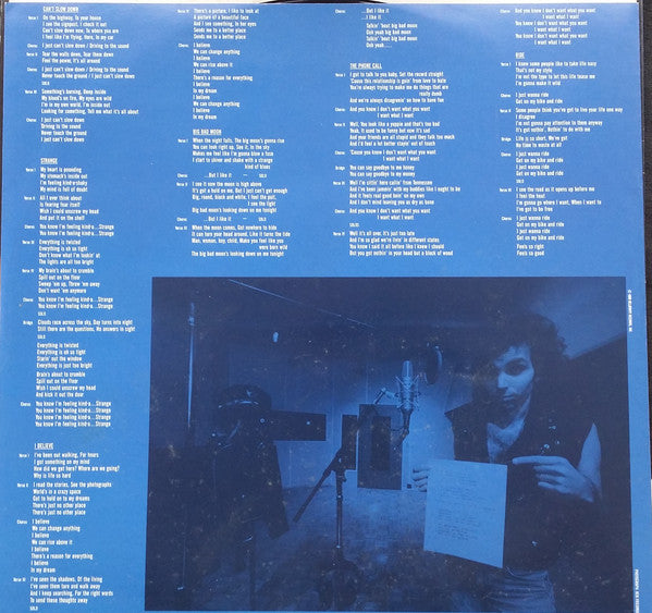 Joe Satriani : Flying In A Blue Dream (LP, Album)