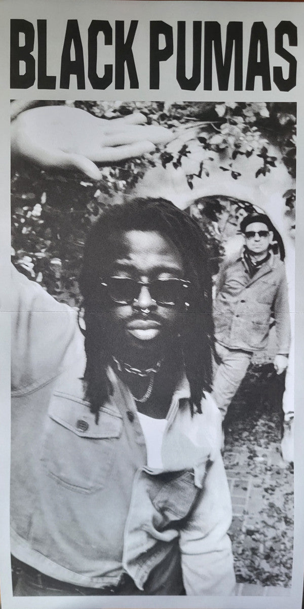 Black Pumas : Chronicles Of A Diamond (LP, Album, Gol)