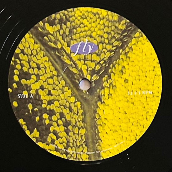 Dixie Chicks : Fly (2xLP, Album, RE, RM)