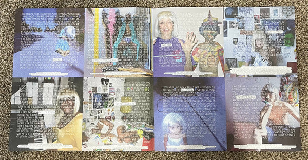 Sia : 1000 Forms Of Fear (2xLP, Album, Dlx, Ltd, RE, Nat)