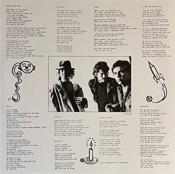 Meat Puppets : Huevos (LP, Album, RE)